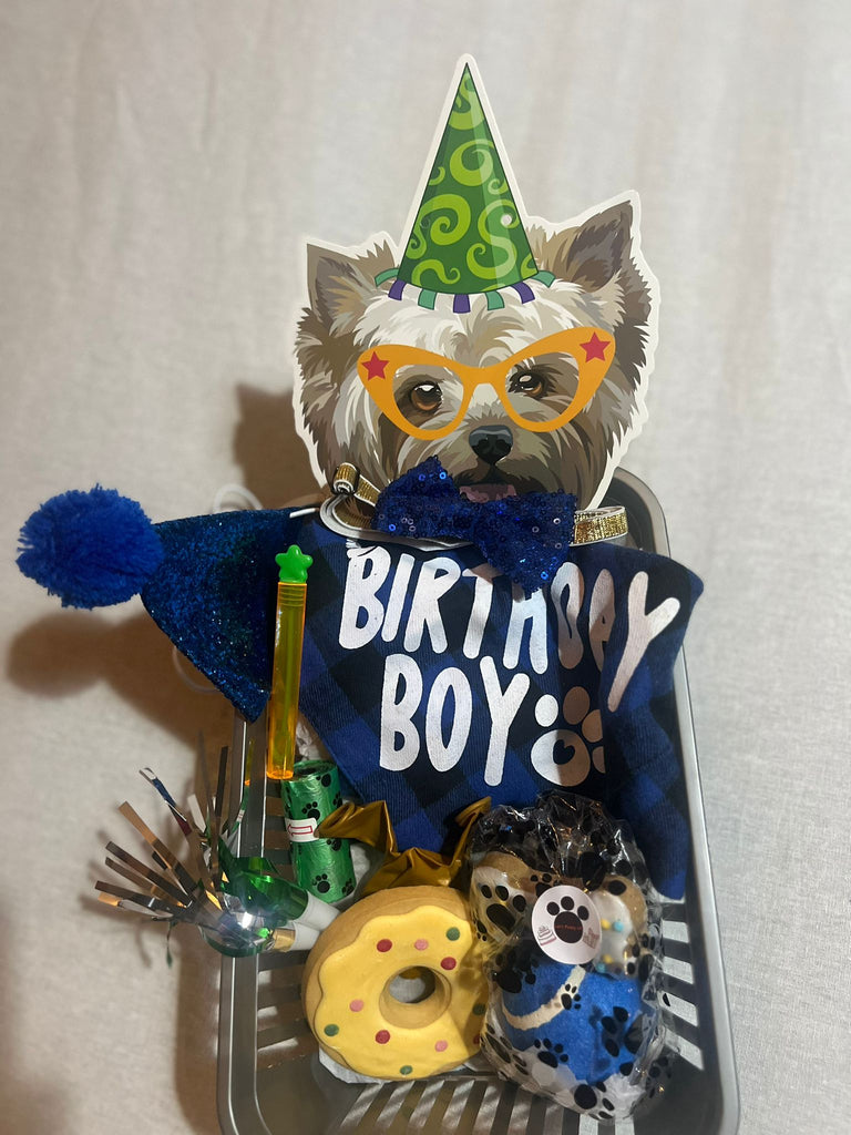 Standard Pawty Hamper